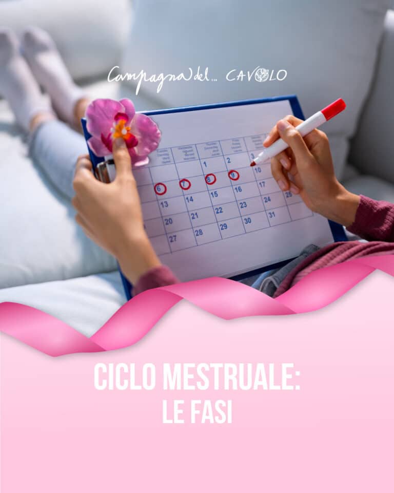 fasi del ciclo mestruale