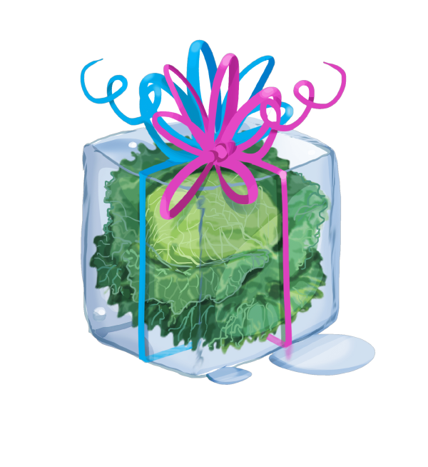 Campagna-del-Cavolo-01